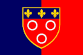 Flag of Jargeau