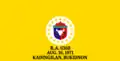 Flag of Kadingilan