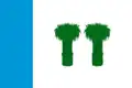 Flag of Kadyysky District