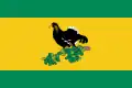 Flag of Kaltasinsky District