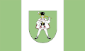 Flag of Gmina Kamienica