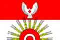 Flag of Kiyasovsky District