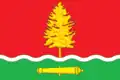 Flag of Kotovsk