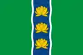 Flag of Kuvshinovsky District