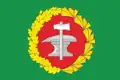 Flag of Kuznetsky District