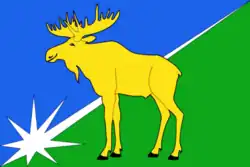 Flag of Kyshtovsky District