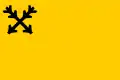Flag of Letovice