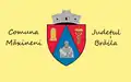 Flag of Măxineni
