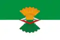 Flag of Makhnyovo