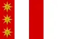 Flag of Malšice
