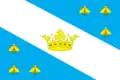 Flag of Medynsky District