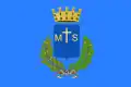Flag of Montesilvano
