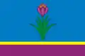 Flag of Mozdok