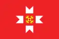 Flag of Mozhginsky District