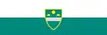 Flag of Murska Sobota
