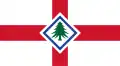 Flag of the New England Vexillological Association