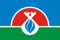 Flag of Nadymsky District