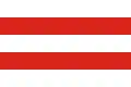 Flag of Salonta