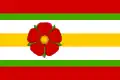 Flag of Nechanice