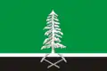 Flag of Nelidovsky District