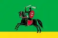Flag of Nevelsky District