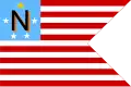 Flag of Newbury Township