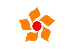 Flag of Nikkō
