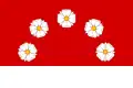 Flag of Nová Pláň