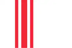 Flag of Oisterwijk