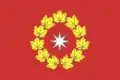 Flag of Oktyabrsky