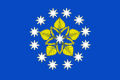 Flag of Olkhovsky District