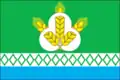 Flag of Ozyory