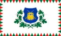 Flag of Pákozd