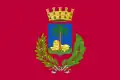 Flag of Palmanova