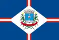 Flag of Patos de Minas