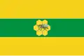Flag of Pestravsky District