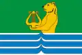 Flag of Plyussky District