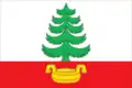 Flag of Pravdinsky