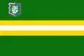 Flag of Pryazhinsky District