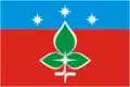 Flag of Pushchino