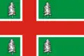 Flag of Rameshki, Tver Oblast