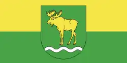 Flag of Rasony district
