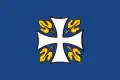 Flag of Ribas de Sil