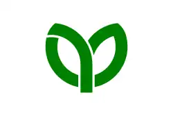 Flag of Rifu