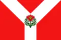 Flag of Rudnya
