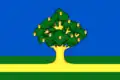 Flag of Rzhavki