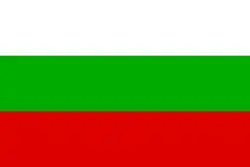 Flag of San Ignacio