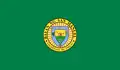 Flag of San Manuel