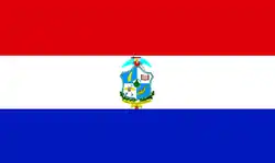 Flag of San Miguel