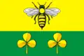 Flag of Sandovsky District
